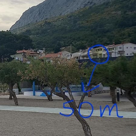 Bugenvilija Duce Luaran gambar
