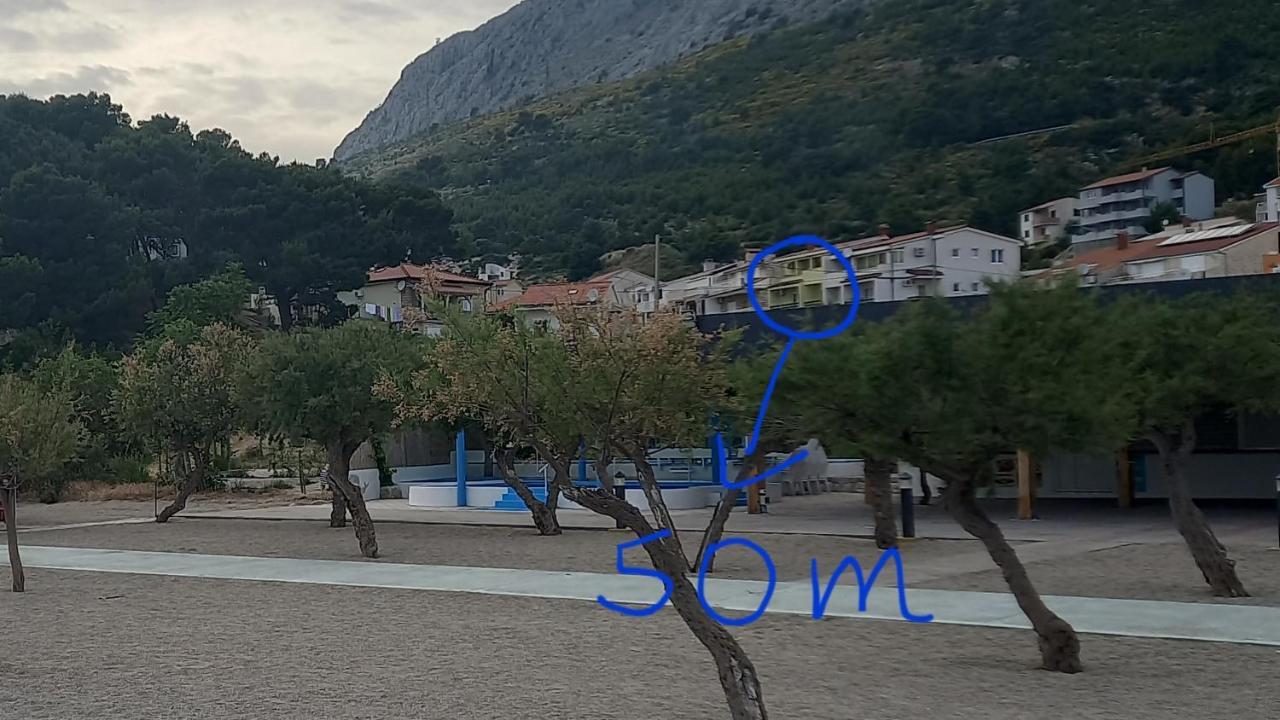 Bugenvilija Duce Luaran gambar