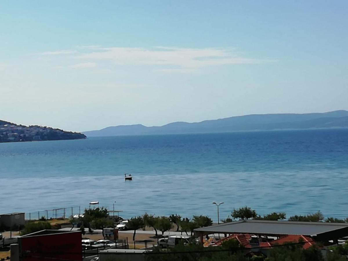 Bugenvilija Duce Luaran gambar